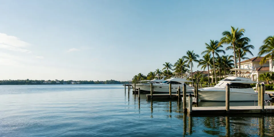 Boats along a palm-lined waterfront