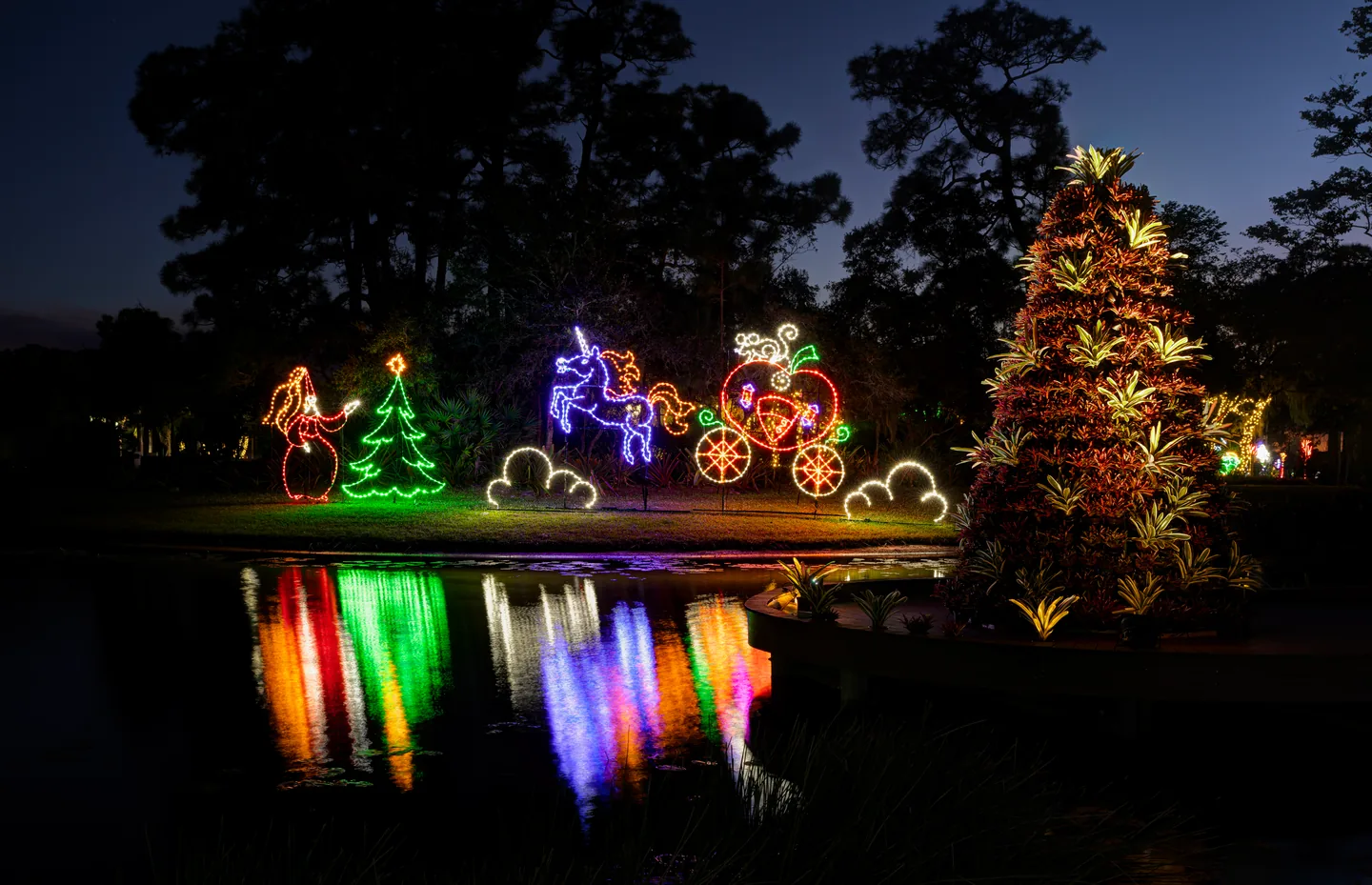 Christmas lights reflected in a pond at Port St. Lucie Botanical Gardens